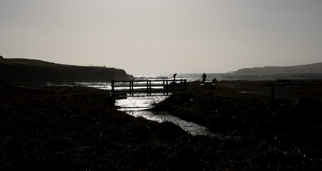 Beach Combing by lifeat60degrees