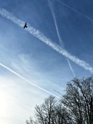 1st Mar 2025 - Kite