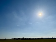 2nd Mar 2025 - Fly away 