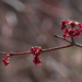 Emerging by kvphoto