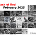 Flash of Red