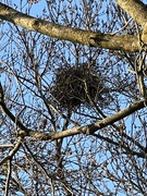2nd Mar 2025 - IMG_5965