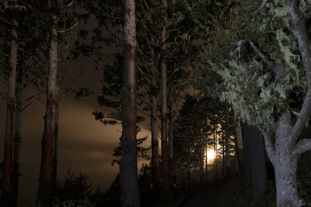 Lighthouse Through the Trees by jgpittenger
