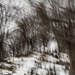 We climbed the hill of the dead by darchibald