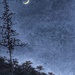 Moonlight Art