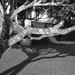 Shadow shapes