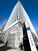 2nd Mar 2025 - Bounce-back