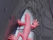 3rd Mar 2025 - red