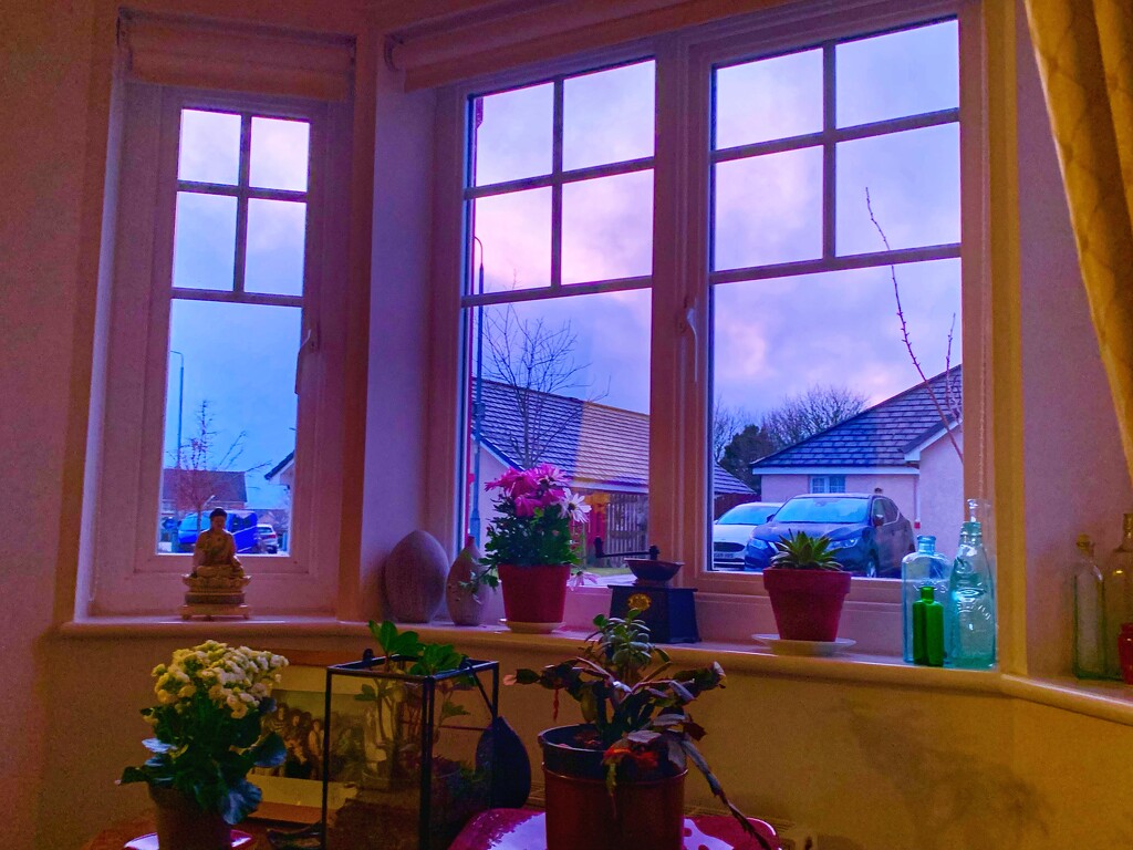 Through the window…… by billdavidson