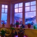 Through the window……