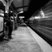 D61 Passerby by darylluk