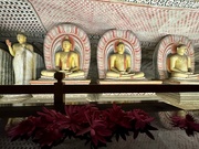 21st Feb 2025 - Buddhas. 