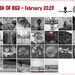 Flash of Red Month