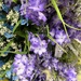 Purple flowers for crafts