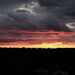 smell of biscuits sunset (4th march 2022)