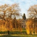Golden Trees