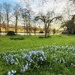 Hackthorn Gardens by carole_sandford