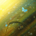 blue butterfly by summerfield