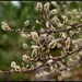 Spring is Starting to Show in Little Ways.