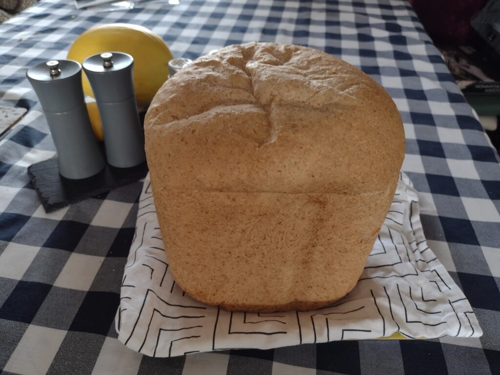 fresh baked bread 5mar25 by aimeebarr