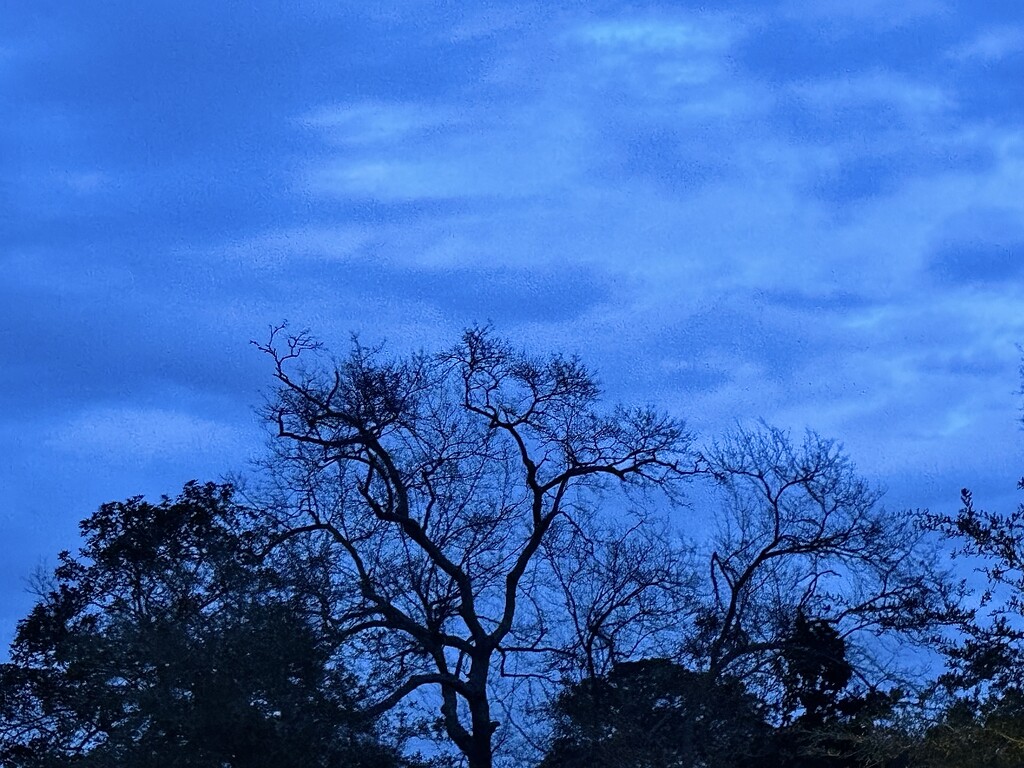 The Blue Hour by congaree