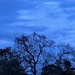 The Blue Hour