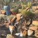 A tiny waterfall