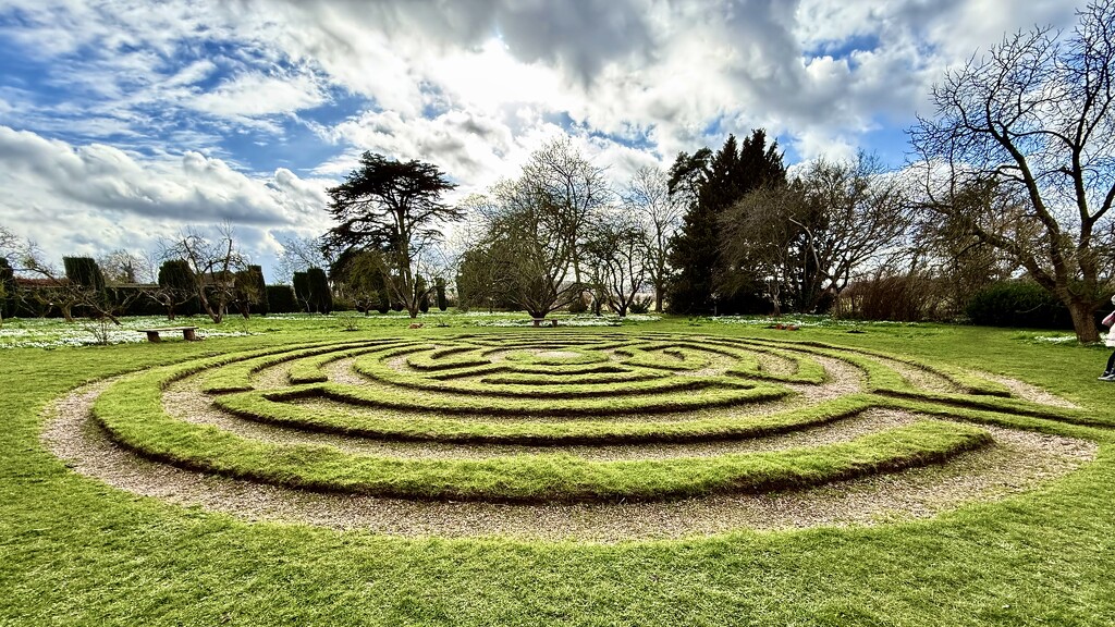 Maze by carole_sandford