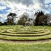 Maze
