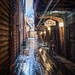 Bryggen by helstor365