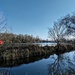 Wetlands reflections 