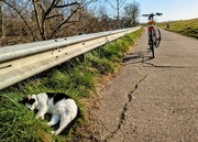 5th Mar 2025 - Slumbering cat 