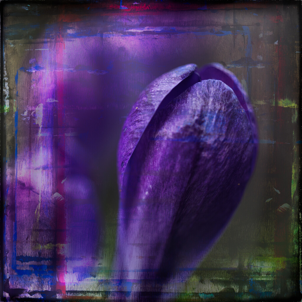5 - The Promise of Spring by marshwader