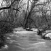 The Creek by darchibald