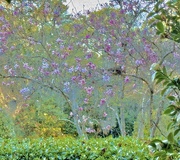 4th Mar 2025 - Spring Garden Art