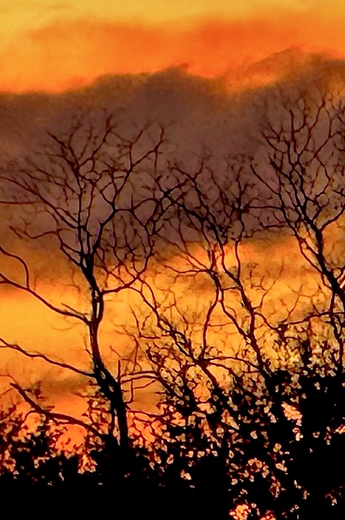 Fiery winter sunset  by congaree