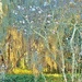 Spring garden photo art by congaree
