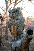5th Mar 2025 - Owl are you?