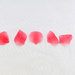 Petals of camillia