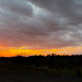 Sunset by mittens