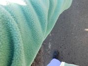 6th Mar 2025 - Green Day