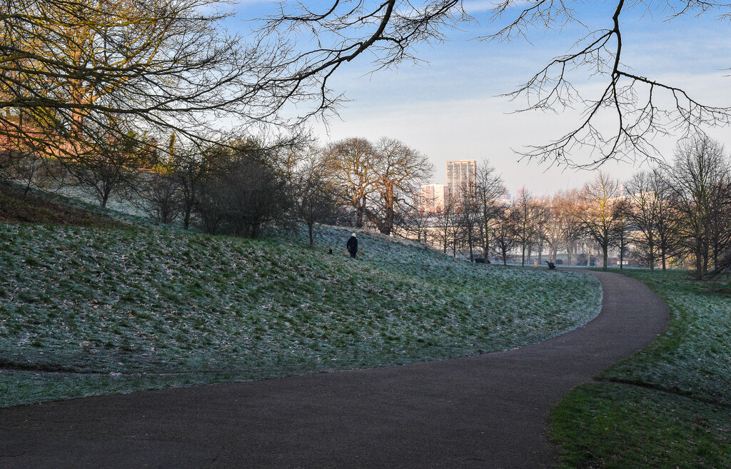 A beautiful cold and frosty morning by tiaj1402