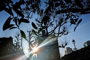 6th Mar 2025 - Morning flare 
