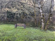 6th Mar 2025 - Green. Nature