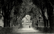 5th Mar 2025 - rome (5th march 2016)