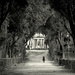 rome (5th march 2016)