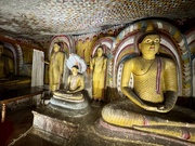 23rd Feb 2025 - Buddhas of all kind. 