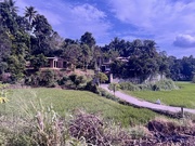 26th Feb 2025 - On the road to Kandy. 