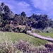 On the road to Kandy. 