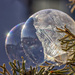March bubble by aecasey